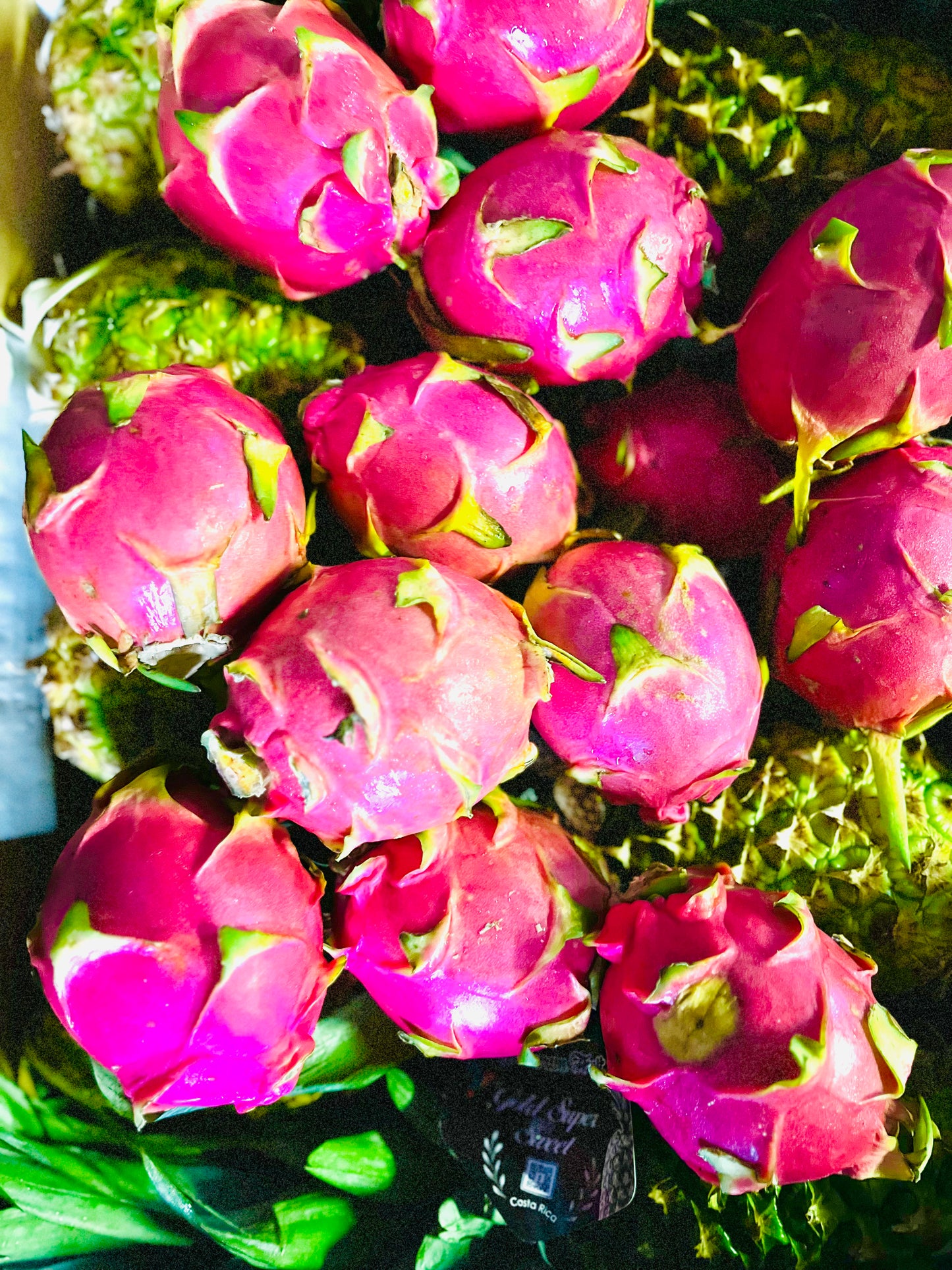 Exotic Froots 1 – Barrel aged ale with Dragonfruit Passionfruit and vanilla 5% 750ml