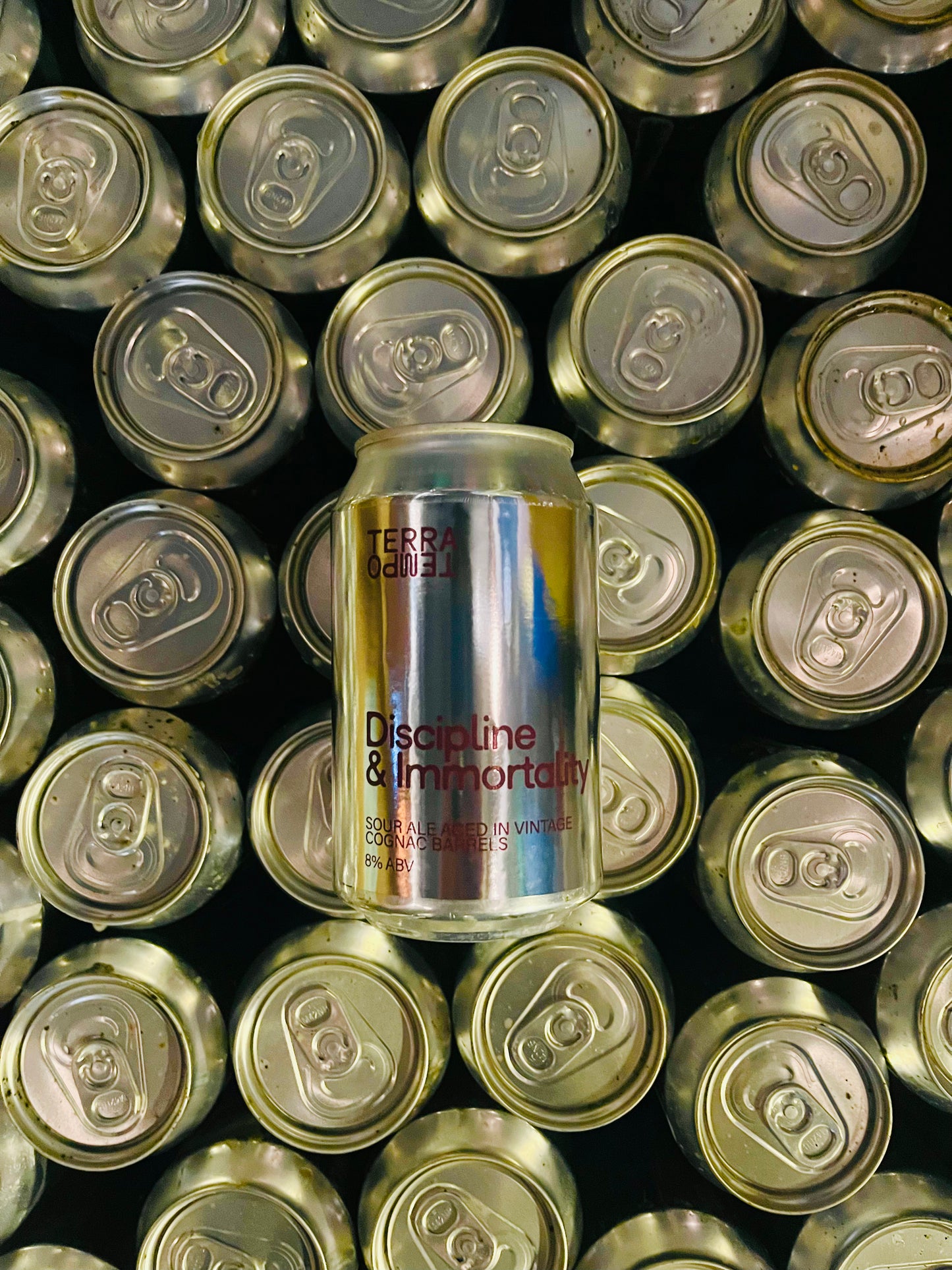 Discipline & Immortality - Oak aged sour ale aged in Vintage Cognac barrels 8% 330ml