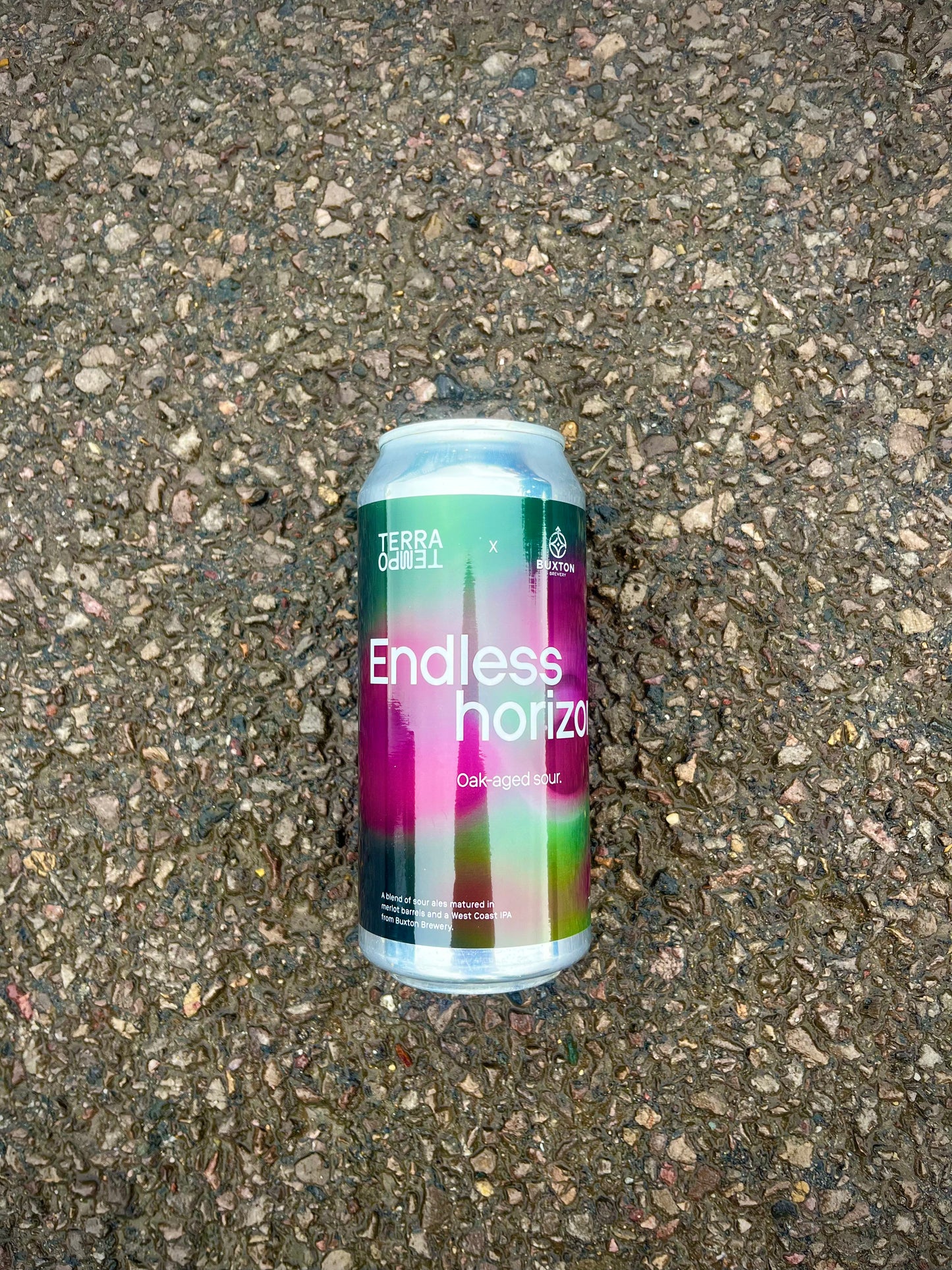 Endless Horizons - Oak Aged Sour 7% 440ml